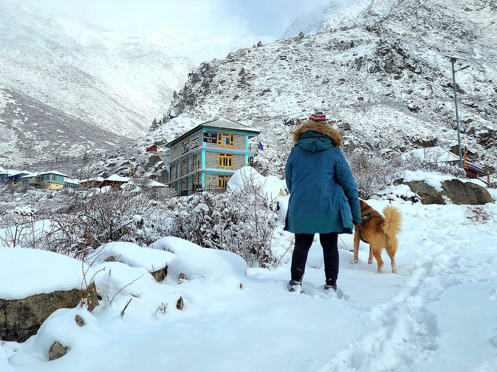 Lap Stays - Wanderer'S Nest Chitkul Ngoại thất bức ảnh